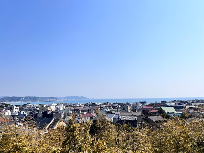 Kamakura and Enoshima: Private Guided Day Tour with Vehicle - Hase-dera Temple: gardens, Kannon, and coastal atmosphere
