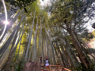 Kamakura and Enoshima: Private Guided Day Tour with Vehicle