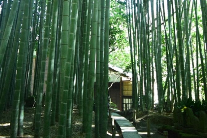 Kamakura Bamboo Forest and Great Buddha Private Tour - Hokoku-ji Bamboo Forest: The Cool, Mysterious Part of the Day