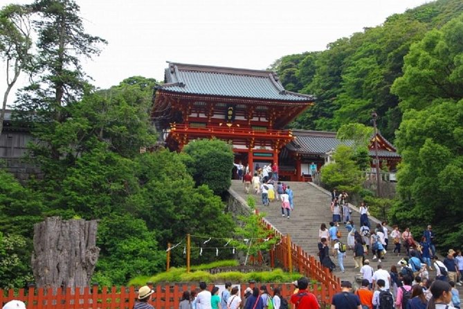 Kamakura Bamboo Forest and Great Buddha Private Tour - Price and Value at Around $176 Per Person