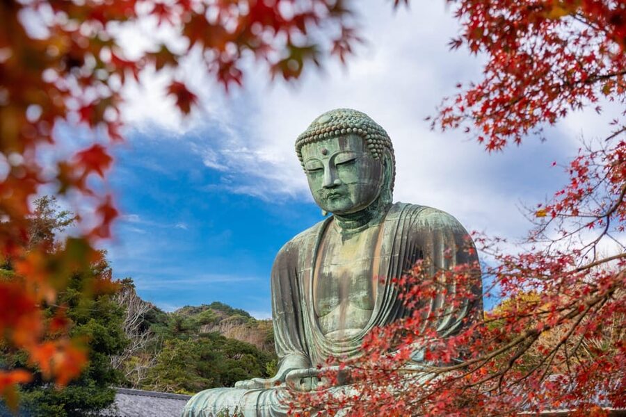 Kamakura Half Day Tour with a Local Expert Guide - Key Things That Make This Kamakura Half Day Tour Worth Your Time