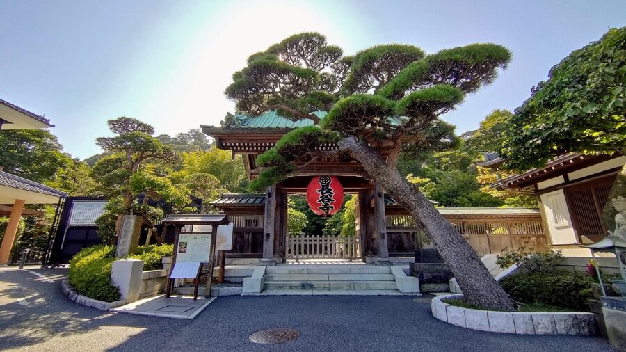 Kamakura Half Day Tour with a Local Expert Guide - Scenic Views on the Way, Plus How to Enjoy the Walk