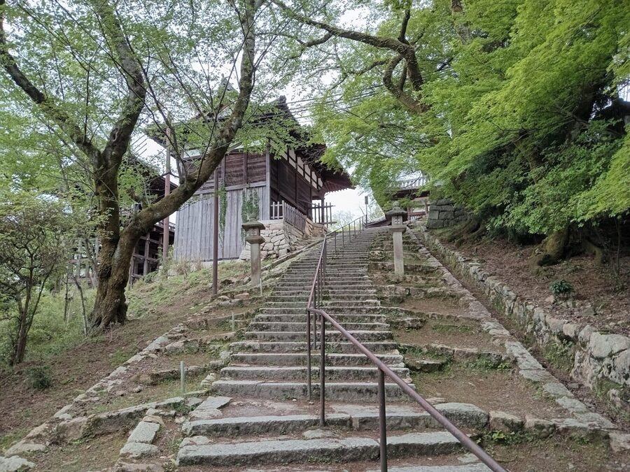 Kamakura Half Day Tour with a Local Expert Guide - Pickup and Drop-Off Between Tokyo and Kamakura, How to Plan Your Day