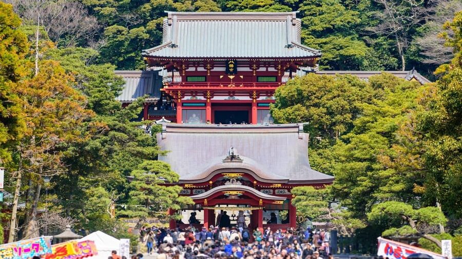 Kamakura Half Day Tour with a Local Expert Guide - Meet Your Local Expert Guide, and How Customization Works