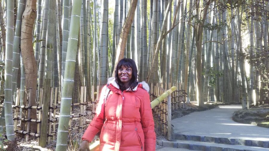 Kamakura: Private Guided Walking Tour with Local Guide - Food and photo time: what to expect and how to plan
