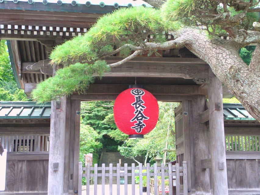 Kamakura Temples Private Guided Tour from Tokyo - Komachi Street lunch and shopping in your 1.5-hour window