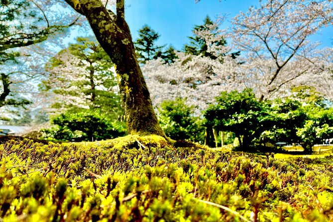 Kanazawa Full Day Private Tour to Top Highlights with Local Guide - A private 7-hour Kanazawa plan with an English guide