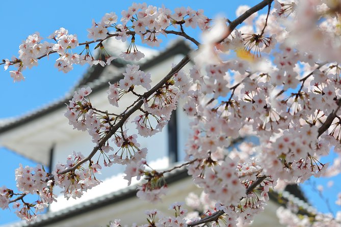 Kanazawa private half day/Photoshoot by professional photographer - What You Should Do Beforehand to Get Great Photos