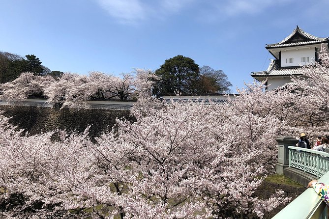 Kanazawa Private Tour: Highlights of an Old Samurai Town - Nomura Family Samurai House: Everyday Life in a Preserved Setting