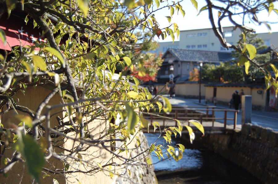 Kanazawa: Samurai Residence Remains Nomura Family admission - Who This Samurai Residence Visit Fits Best