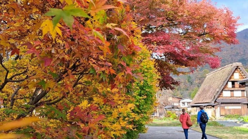 Kanazawa/Takayama: Shirakawago & Takayama Private Day Tour - Private van from Kanazawa or Takayama, with real time flexibility