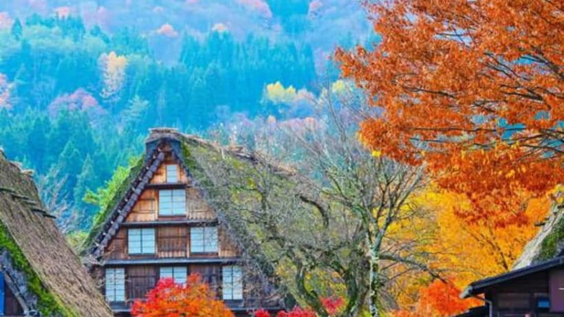 Kanazawa/Takayama: Shirakawago & Takayama Private Day Tour - Shirakawa-go: gassho roofs, viewpoint time, and photo help