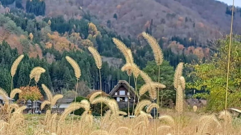 Kanazawa/Takayama: Shirakawago & Takayama Private Day Tour - How the 8-hour day is paced (and why it feels relaxed)