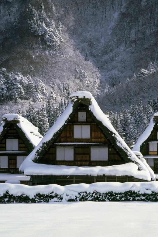 Kanazawa: World Heritage Shirakawa-go & Two Local Experience - Wagashi or Daruma painting: choose the memory you want