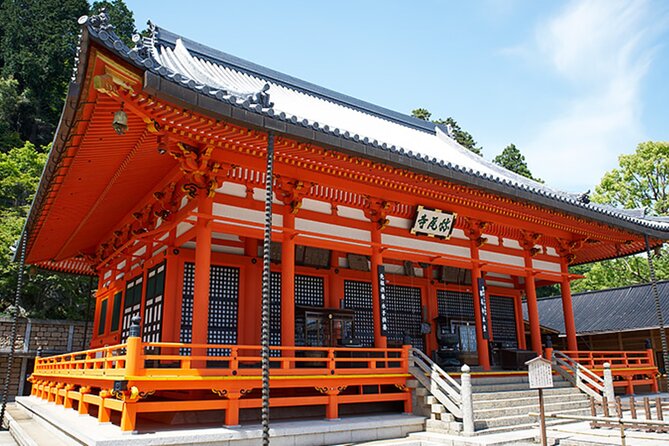 Katsuo-ji Temple, Arashiyama Forest, & Nara Park - Nara Park and the deer moment you cannot plan away