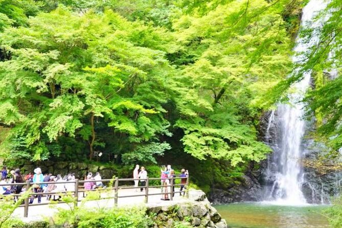 Katsuo-ji Temple, Arashiyama Forest, & Nara Park - How the 11-hour plan actually feels on the ground