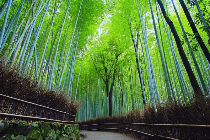 Katsuo-ji Temple, Arashiyama Forest, & Nara Park - Price and value: $91.65 that can feel fair or frustrating