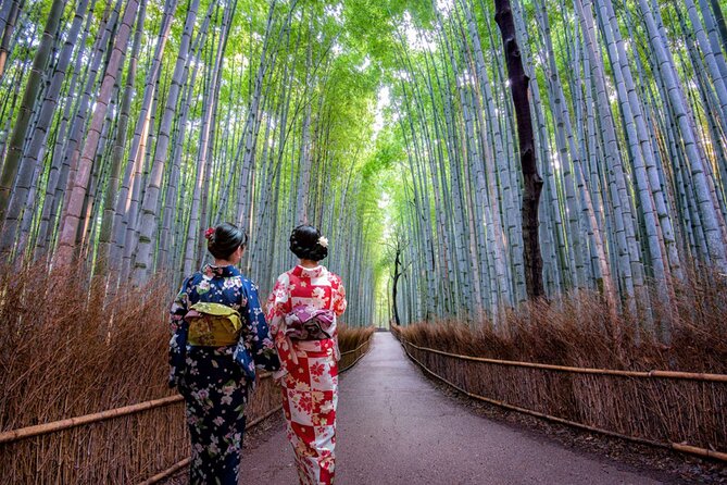 Katsuo-ji Temple, Arashiyama Forest, & Nara Park - One booking tip that can save your day