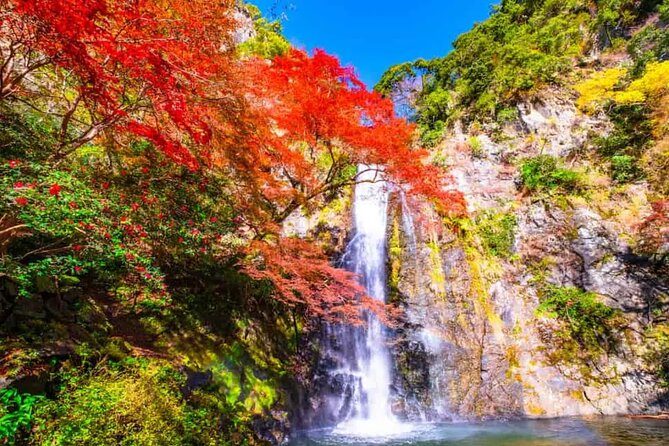 Katsuo-ji Temple, Arashiyama Forest, & Nara Park - Should you book this tour?
