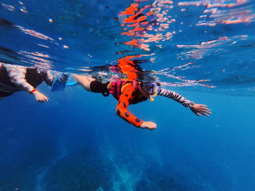 Kerama Half-Day Snorkeling Tour - Price and value: is $57 a fair deal?