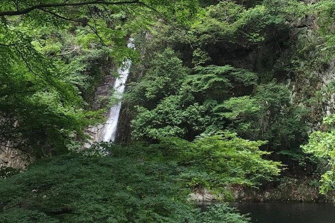 Kobe private tour from Osaka (Shore excursion available from Osaka or Kobe port) - Guides who keep the day fun, like Ichihiro, Kaori, and Akie