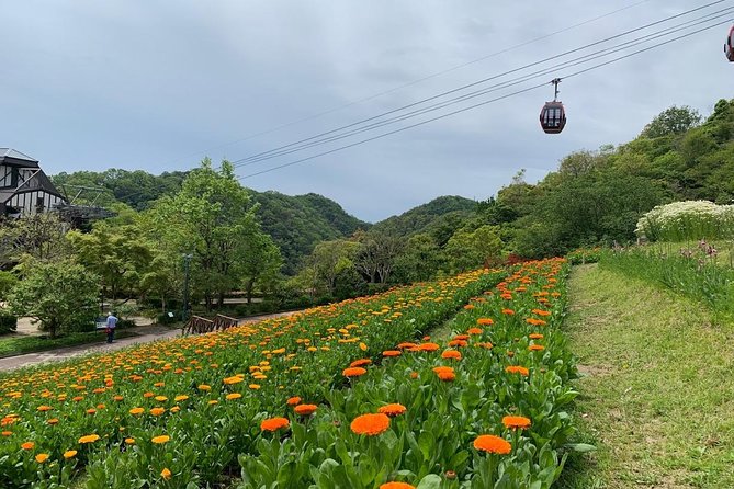 Kobe private tour from Osaka (Shore excursion available from Osaka or Kobe port) - Price and value, what you are really paying for