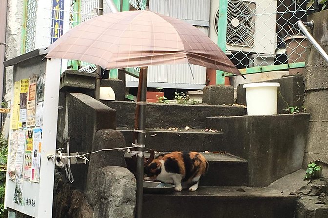KOBE, SHIOYA, a quaint fishing town walking tour - Nori Factory Timing and the Outlet Price Angle