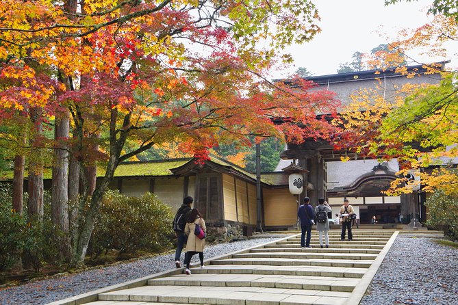 Koyasan Full-Day Private Tour - Okunoin cemetery walk: the 3 km serenity people remember