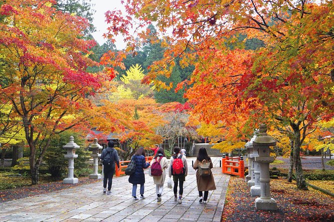 Koyasan Full-Day Private Tour - What the private guide actually adds (and why people rave about it)