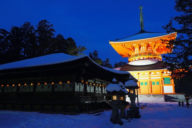 Koyasan Full-Day Private Tour - Price and admissions: where the real cost lands