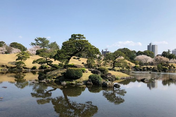 Kumamoto Full-Day Private Tour with Government-Licensed Guide - Former Hosokawa Mansion: Edo-era power, without the costume drama