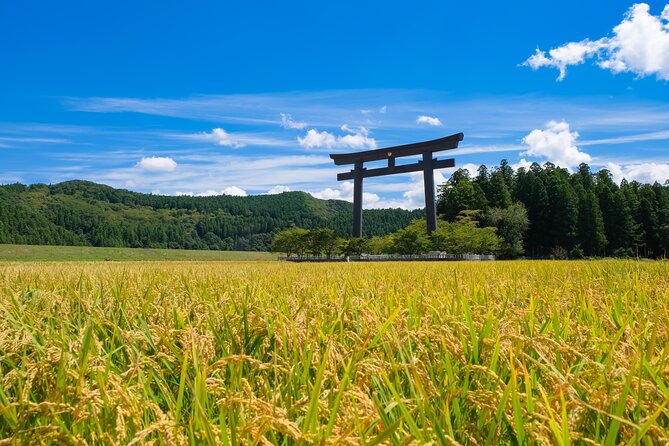 Kumano Kodo Pilgrimage Tour with Licensed Guide & Vehicle - A Fast, Private Way to Hit the Kumano Kodo Sights