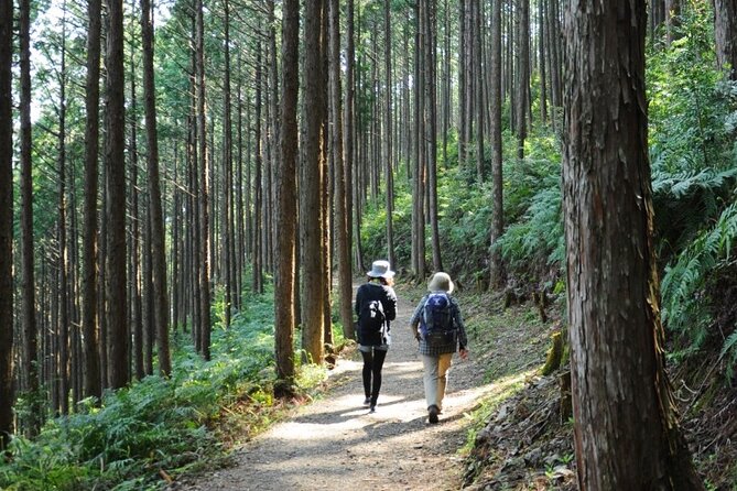 Kumano Kodo Pilgrimage Tour with Licensed Guide & Vehicle - Kumano Hongu Taisha: The Shrine That Anchors the Whole Story