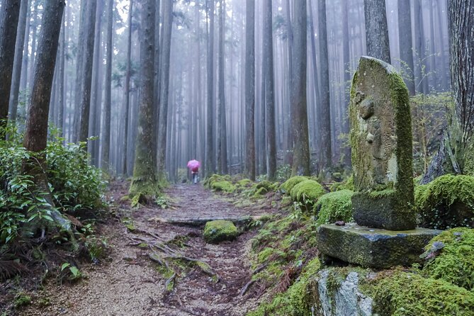 Kumano Kodo Pilgrimage Tour with Licensed Guide & Vehicle - Kyushachi Oyunohara: The Flood That Changed the Site