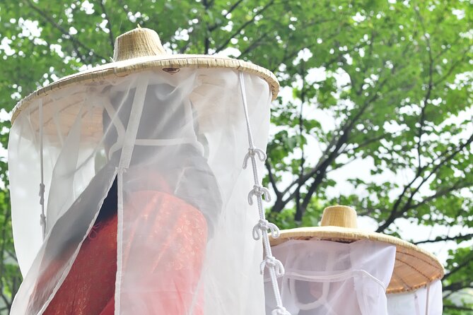 Kumano Kodo Pilgrimage Tour with Licensed Guide & Vehicle - Kumano Nachi Taisha and Nachi Mitaki Falls: The Big Finale