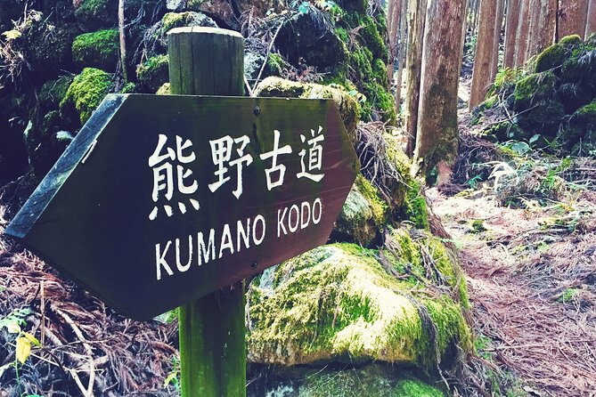 Kumano Kodo Pilgrimage Tour with Licensed Guide & Vehicle - Licensed Guide and Private Vehicle: Why the Day Feels Effortless