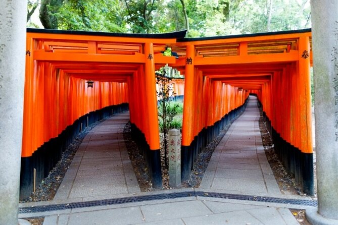Kyoto 1 Day Golden Route Bus Tour - Arashiyama bamboo grove at Tenryu-ji: a calmer stretch of the day