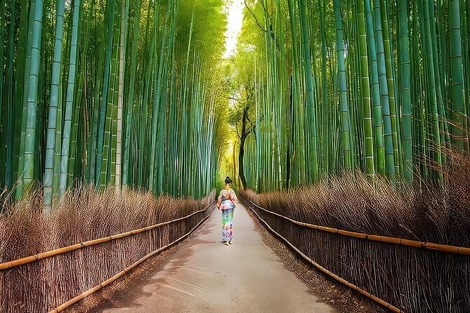 Kyoto 1 Day Suntory Yamazaki Distillery Tour and Asahi Art Museum - The steep hill, and how to handle it without stress