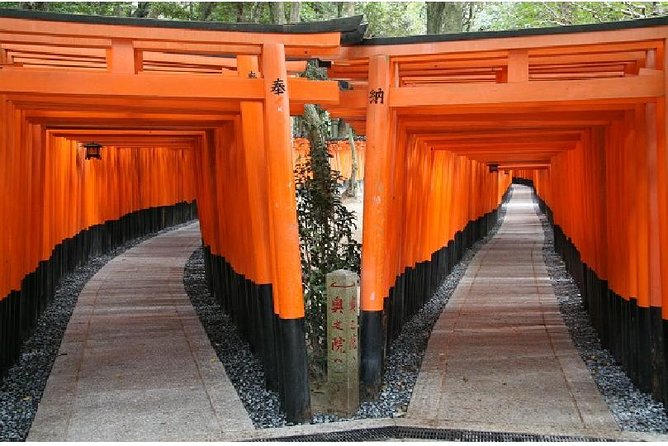 Kyoto 1 Day Tour from Kyoto - The schedule on closed days: what may get swapped