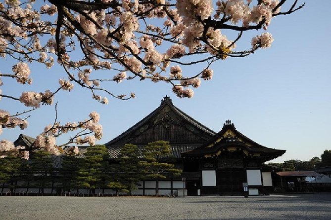 Kyoto 1 Day Tour from Kyoto - Pace, hearing, and group size: how to make this feel good