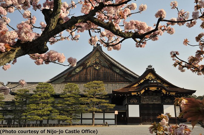 Kyoto 1 Day Tour from Osaka - Lunch, Kyoto Handicraft Center, and where your time can slip