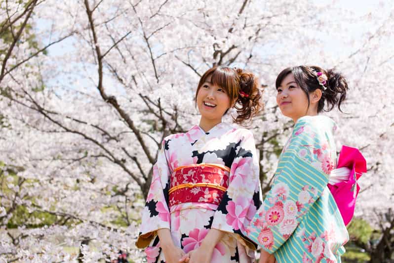 Kyoto: 1 Day Traditional Japanese Kimono Rental Experience - The Core Plan: Komon Kimono, Belt, Bag, Tabi, and Sandals