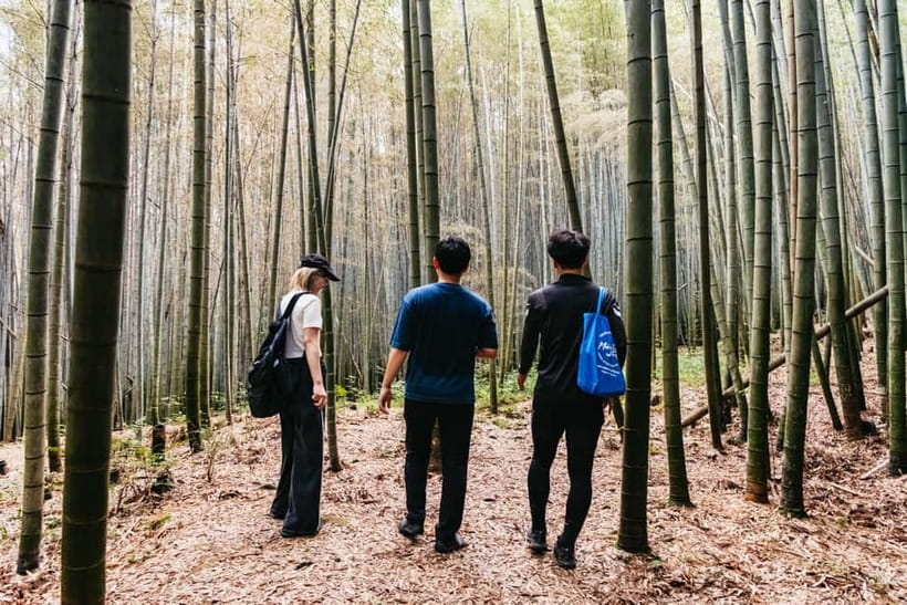 Kyoto: 3-Hour Fushimi Inari Shrine Hidden Hiking Tour - Descending via forest trails and reaching another bamboo grove