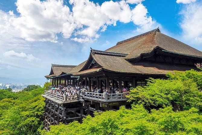 Kyoto 4hr Private Tour with Government-Licensed Guide - Your Stop-by-Stop Plan, From Torii Gates to Zen Gardens