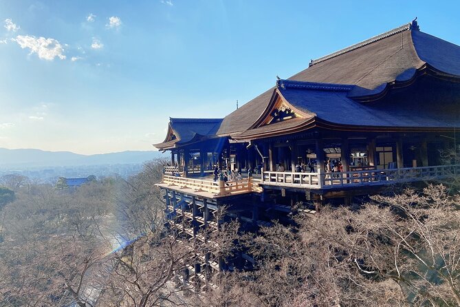 Kyoto 6h Private Tour Fushimi Inari, Kiyomizu, Gion & Hidden Gems - Sanjusangendo’s 1,000 statues: what you are really looking at