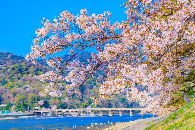 Kyoto 6hr Instagram Highlights Private Tour with Licensed Guide - Togetsukyo Bridge and Arashiyama Bamboo: the iconic frame fast