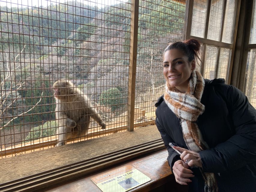 Kyoto: Afternoon Bamboo Forest and Monkey Park Bike Tour - Key things to know before you go