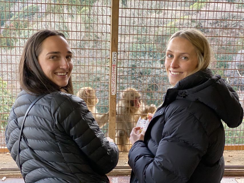 Kyoto: Afternoon Bamboo Forest and Monkey Park Bike Tour - Who this tour fits best, and who might want a different plan