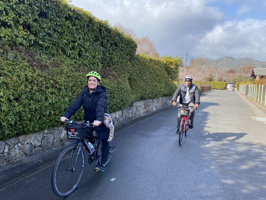 Kyoto: Afternoon Bamboo Forest and Monkey Park Bike Tour - Price and value: what $106 buys you in real terms