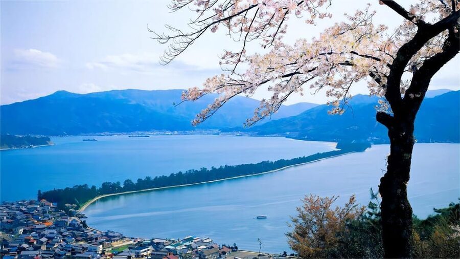 Kyoto: Amanohashidate Ine Funaya Tour - Why This 10-Hour Kyoto Trip Starts in Osaka